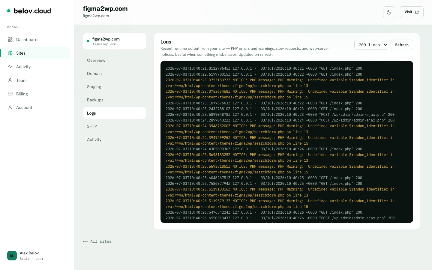 The Logs tab showing access and error output in the Belov Cloud panel
