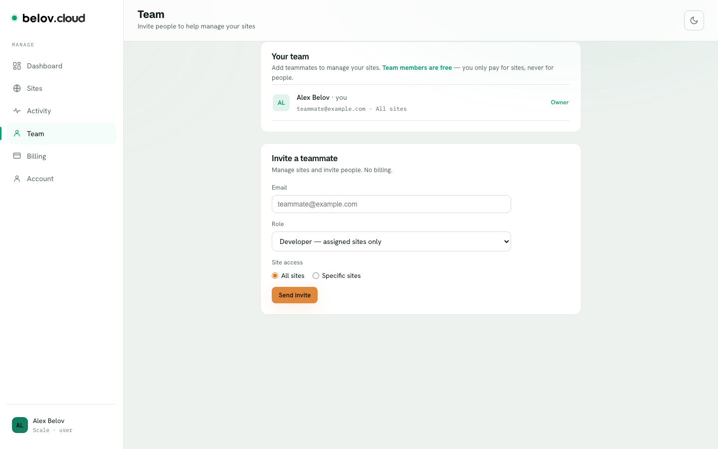 The Team tab listing members, their roles, and the Invite button.